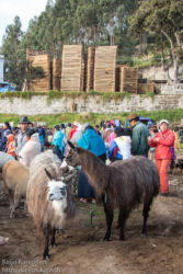 Maalaismarkkinoilla, Otavalo