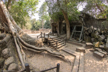 Ta Prohm -temppeli (viidakkotemppeli), Siem Reap/Kamputsea