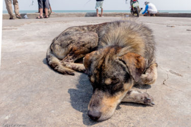 Hua Hin, Thaimaa