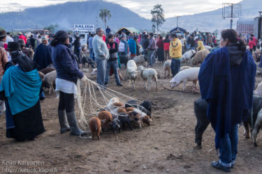 Maalaismarkkinoilla, Otavalo