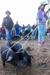 Maalaismarkkinoilla, Otavalo