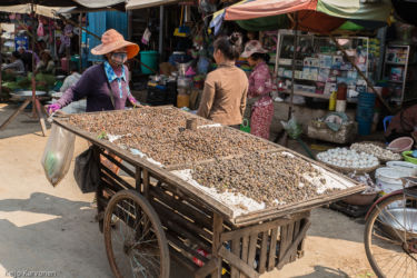 Markkinoilla: kotiloita kaupan, Siem Reap/Kamputsea