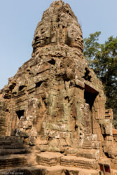 Ta Prohm -temppeli (viidakkotemppeli), Siem Reap/Kamputsea