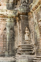 Ta Prohm -temppeli (viidakkotemppeli), Siem Reap/Kamputsea