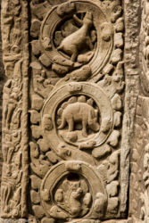 Ta Prohm -temppeli (viidakkotemppeli), Siem Reap/Kamputsea