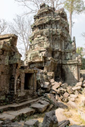 Ta Prohm -temppeli (viidakkotemppeli), Siem Reap/Kamputsea