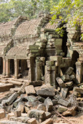 Ta Prohm -temppeli (viidakkotemppeli), Siem Reap/Kamputsea