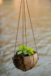 Bambulauttahotelli, Thaimaa