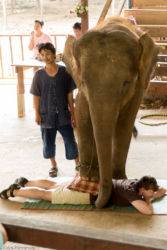 Norsuratsastuksella, Thaimaa
