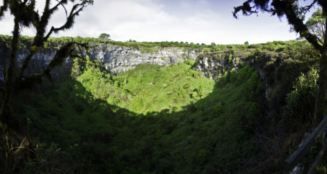 Los Gemelos, Santa Cruz, Galapagos, Ecuador