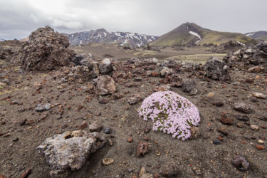 Landmannalaugar