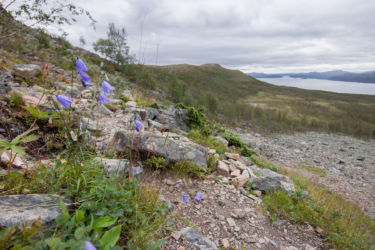 Enontekiö