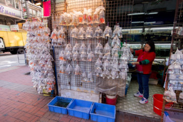 Hong Kong