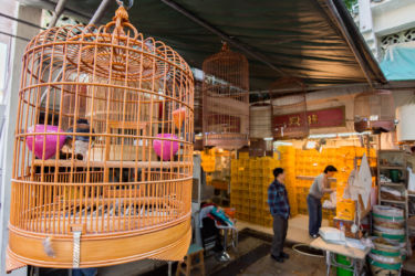 Hong Kong