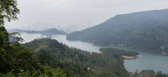Hong Kong