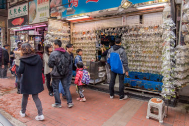 Hong Kong