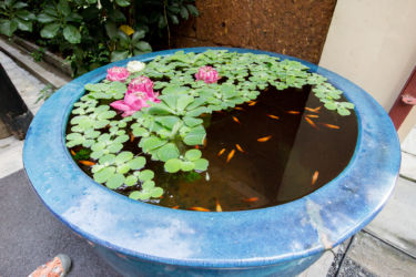 Bangkok