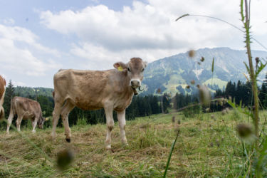 Oberjoch