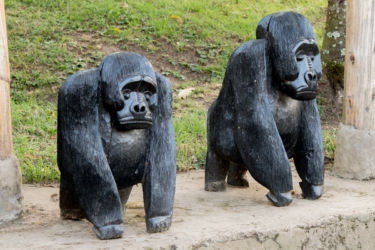 Surulliset gorillavartiat