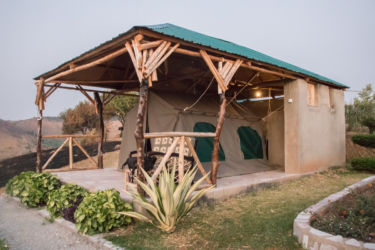 Safariteltta