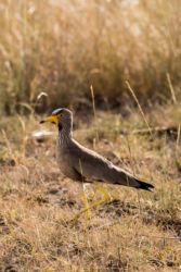 IMG_3565