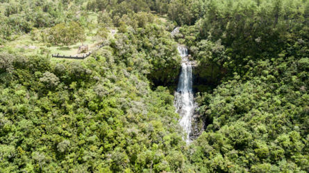 Alexandra Falls