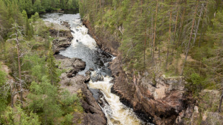 Kiutaköngäs