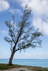 Le Morne public beach