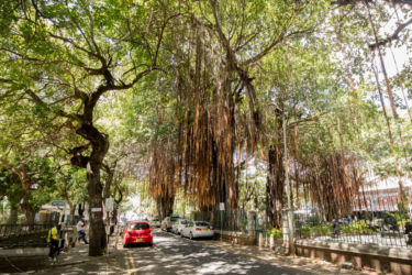 Port Louis