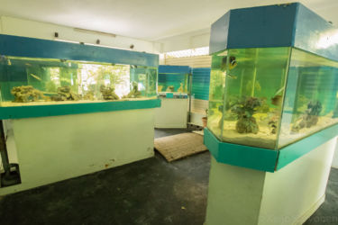 Mauritius Aquarium
