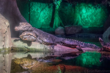 Sea World