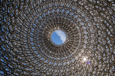 The Hive, Kew Gardens