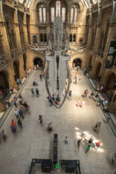 The Natural History Museum