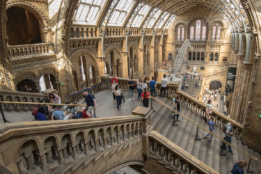 The Natural History Museum