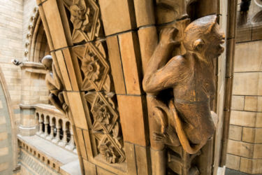 The Natural History Museum