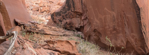 twyfelfontein rock art2