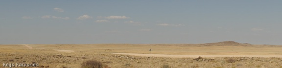 DSC01803