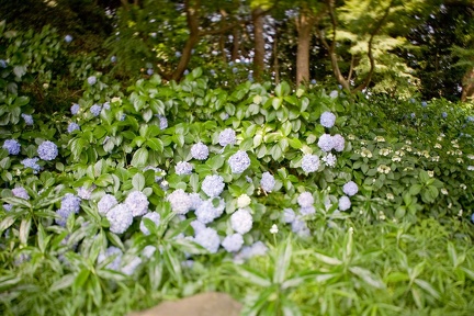  MG 0969