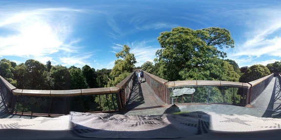 treetopwalkway1 20180623