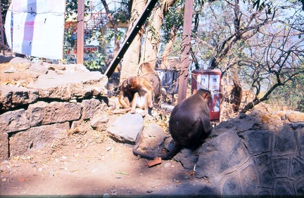 IMG479